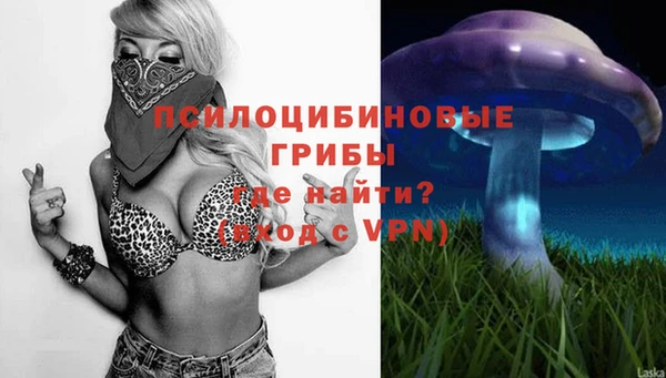 а пвп мука Заводоуковск