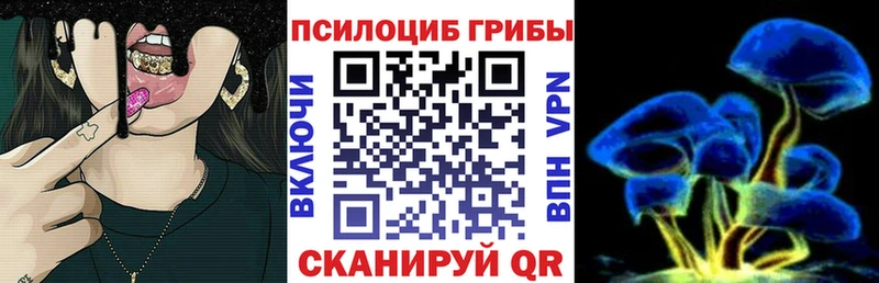 Псилоцибиновые грибы Psilocybine cubensis  где купить наркоту  Кудрово 