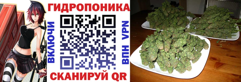 kraken ссылки  Кудрово  Марихуана тримм  что такое  